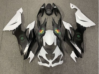 2019-2020 Happy Face Kawasaki ZX6R Motorcycle Fairings Canada